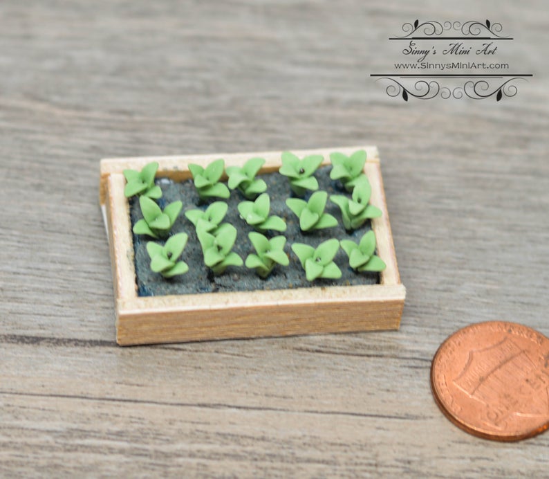 1:12 Dollhouse Miniature Seedlings in Flat / Miniature Garden BD A150