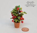 1:12 Dollhouse Miniature Tomato Plant in Clay Pot BD A1075