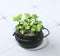 1:12 Dollhouse Miniature Green Plant in Pot/ Miniature Garden E7