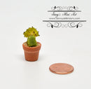 1:12 Dollhouse Miniature Planted Cactus/Miniature Garden BD A1609