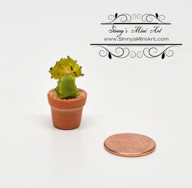 1:12 Dollhouse Miniature Planted Cactus/Miniature Garden BD A1609