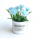 1:12 Dollhouse Miniature Blue Succulents in Planter F38-B