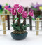 1:12 Dollhouse Miniature Pink Orchid Arrangement in Pot E72
