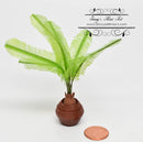 1:12 Dollhouse Miniature Sago Palm in Clay Pot / Miniature Plants BD A1087