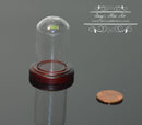Miniature Glass Dome Display on Wood Base BD SC020