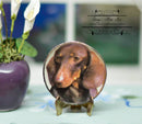 1:12 Dollhouse Miniature Dachshund Plate/ Miniature Dog Plate BB CDD500-4