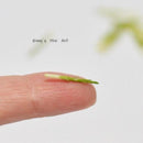 1:12 Dollhouse Miniature Asparagus Spears( 9 PC) Food BD P071