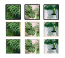 A Set of Dollhouse Miniature Tropical Plant Picture with FrameS /Photo F43A