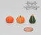 1:12 Dollhouse Miniature Set of 3 Gourds/ Halloween Miniatures BD P085