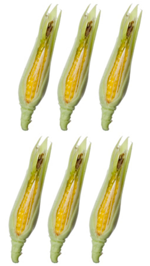 DIS 1:12 Dollhouse Miniature Corn/6pcs/ Miniature Veggies AZ A3522