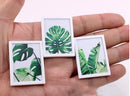 A Set of 1:12 Dollhouse Miniature Tropical Plant Picture with White Frame F16-A