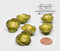 1:12 Dollhouse Miniature Cabbage 6 PC Miniature Vegetable AZ A2487