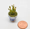 1:12 Dollhouse Miniature Aloe Vera in Blue Design Pot/ BD A022