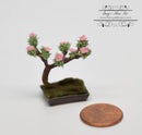 1:12 Dollhouse Miniature Bonsai in Bloom BD A205