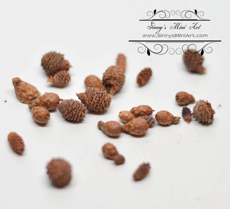 BO 1:12 Dollhouse Miniature Pine Cones, Assorted Sizes BD H081