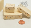 1:12 Dollhouse Miniature Trunk Set TGADM B001