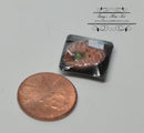1:12 Dollhouse Miniature Salmon Steak Pre Pack DMUK FF121