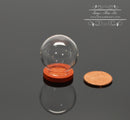 Miniature Glass Dome Display on Wood Base B94