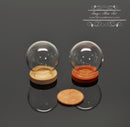 Miniature Glass Dome Display on Wood Base B94