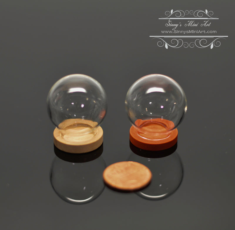 Miniature Glass Dome Display on Wood Base B94