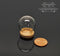 Miniature Glass Dome Display on Wood Base B94