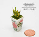 1:12 Dollhouse Miniature Aloe Vera in Square Painted Vase/ Miniature Garden/Miniature Plant BD A128