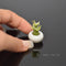 1:12 Dollhouse miniature lucky bamboo in White Ceramic Bowl/BD A045
