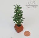1:12 Dollhouse Miniature Tall Palm in Square Clay Pot BD A1084