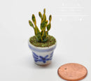 1:12 Dollhouse Miniature Aloe Vera in Blue Design Pot/ BD A022