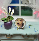 1:12 Dollhouse Miniature Airedale Terrier Plate/ Miniature Dog Plate BB CDD500-1