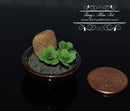 1:12 Dollhouse Miniature Decorative Jade in Bowl BD A1009