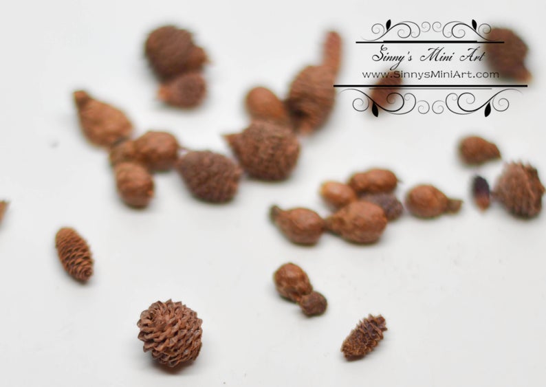 BO 1:12 Dollhouse Miniature Pine Cones, Assorted Sizes BD H081