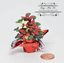 BO 1:12 Dollhouse Miniature Red and White Poinsettias in Foil/ Christmas BD A306