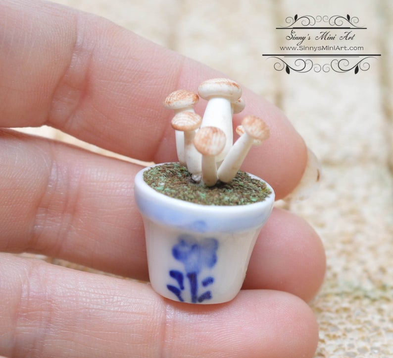 1:12 Dollhouse Miniature Mushroom in Pot/ Miniature Mushrooms BD A044