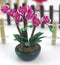 1:12 Dollhouse Miniature Pink Orchid Arrangement in Pot E72