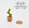 1:12 Dollhouse Miniature Planted Cactus, Tall Flowering Cactus BD A1611