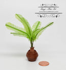 1:12 Dollhouse Miniature Sago Palm in Clay Pot / Miniature Plants BD A1087