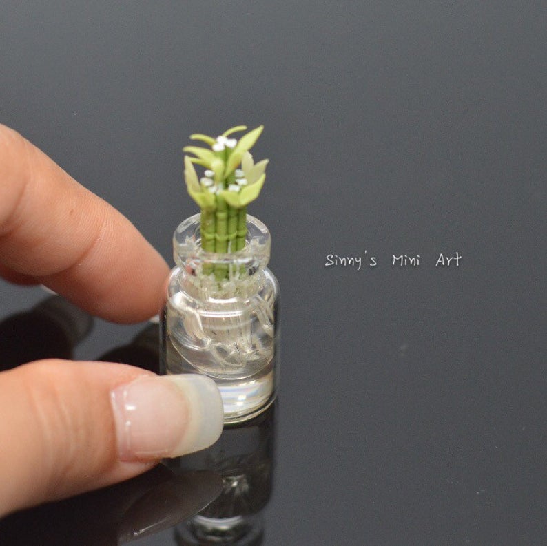 Discontinued 1:12 Miniature Lucky Bamboo in Glass Vase/ dollhouse Miniature Plant BD A054