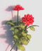 1:12 Dollhouse Miniature Flower Kit Dahlia Red / Miniature Garden IBM 001-0017