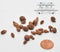 BO 1:12 Dollhouse Miniature Pine Cones, Assorted Sizes BD H081