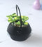 1:12 Dollhouse Miniature Green Plant in Pot/ Miniature Garden E7