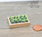 1:12 Dollhouse Miniature Seedlings in Flat / Miniature Garden BD A150