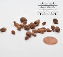 BO 1:12 Dollhouse Miniature Pine Cones, Assorted Sizes BD H081