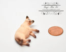 1:12 Dollhouse Miniature Pregnant Cat Siamese Brown Pet AZ A0753SB