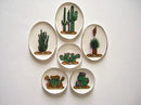 1:12 Dollhouse Miniature Cactus Dishes Plates BB CDD136