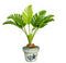 1:12 Palm Tree Plant AZ G8504