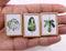 A Set of 1:12 Dollhouse Miniature Tropical Plant Picture with Wood Frame /Photo F16-B