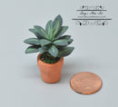 1:12 Dollhouse Miniature Tropical Plant in Clay Pot BD A1032