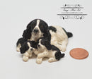 1:12 Dollhouse Miniature English Springer with Puppies Dog Pet HH A3406BK