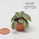 1:12 Dollhouse Miniature House Plant Kit DI P234